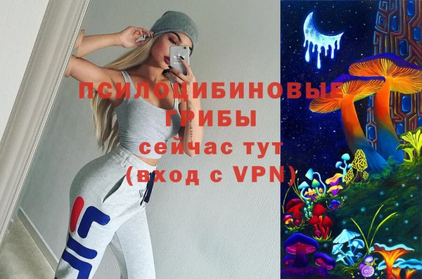 СК Кукмор